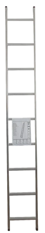 svg-dresden202607201851362681636